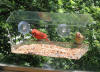 Window bird feeder