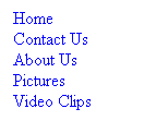 Text Box: Home
Contact Us
About Us
Pictures
Video Clips
&nbsp;

