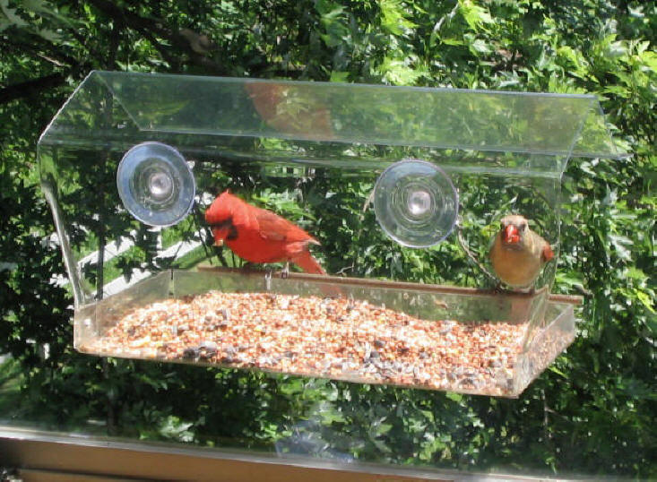 bird feeder, window bird feeder